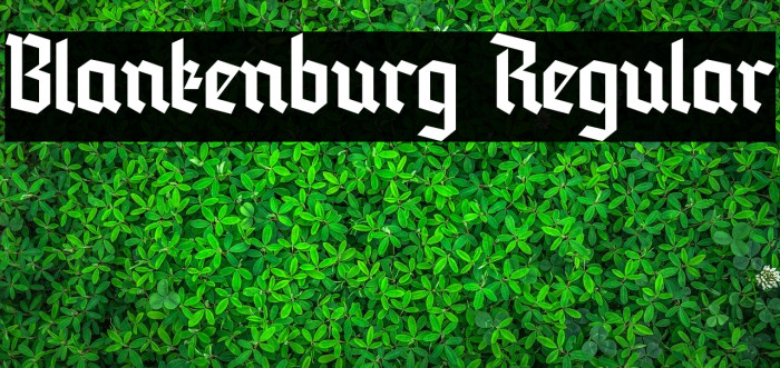 Blankenburg Regular Font examples