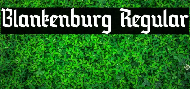 Blankenburg Regular Example 1