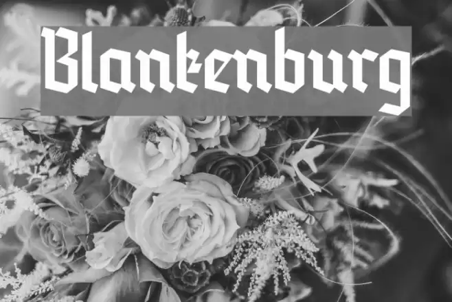 Blankenburg Font examples