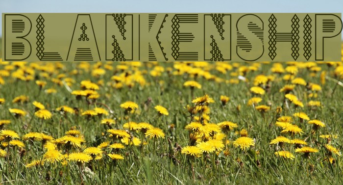 Blankenship Font examples