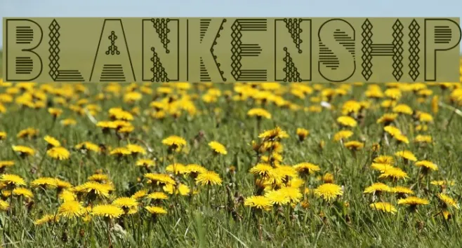 Blankenship Example 1