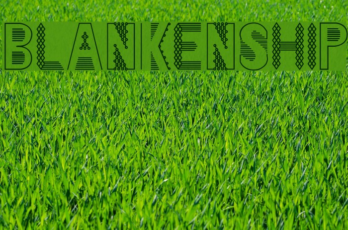 Blankenship Font examples
