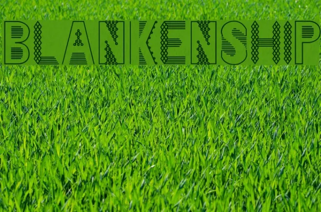 Blankenship Example 2