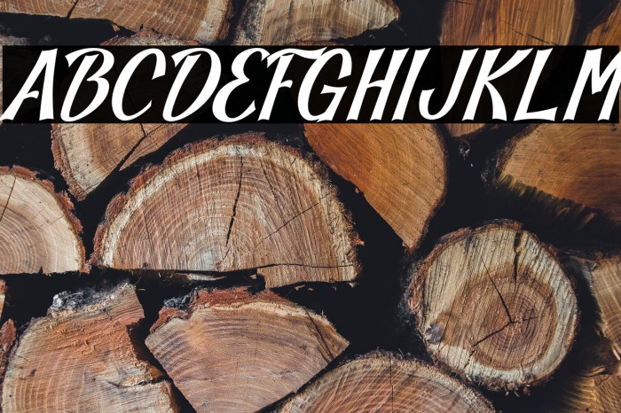 Blankeny-Script Example 1