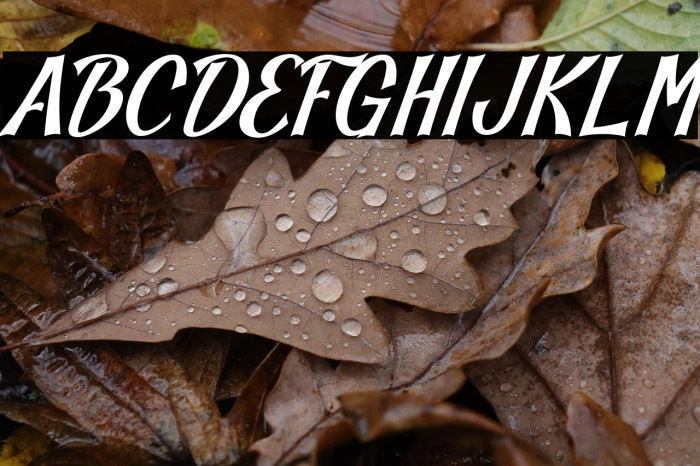 Blankeny-Script Example 2