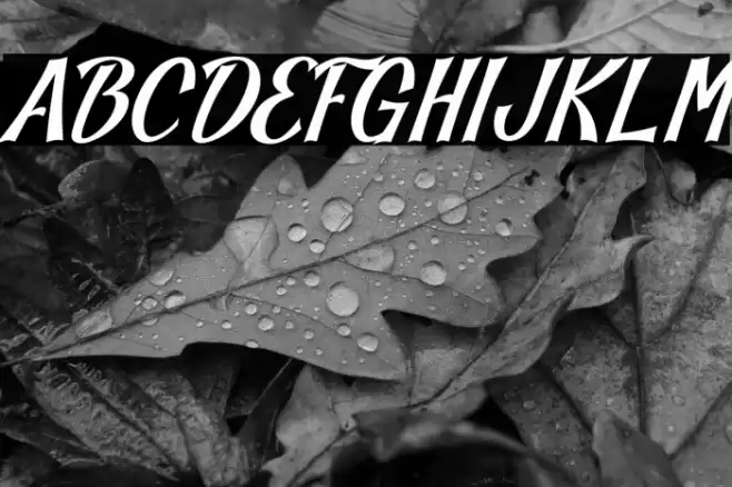 Blankeny-Script Font examples