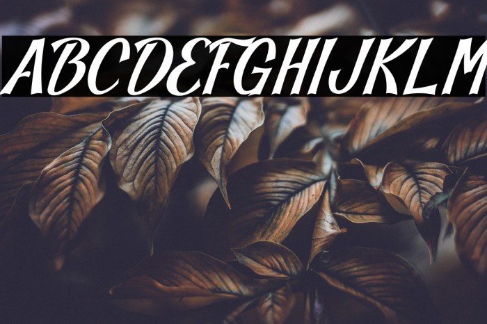 Blankeny-Script Example 3