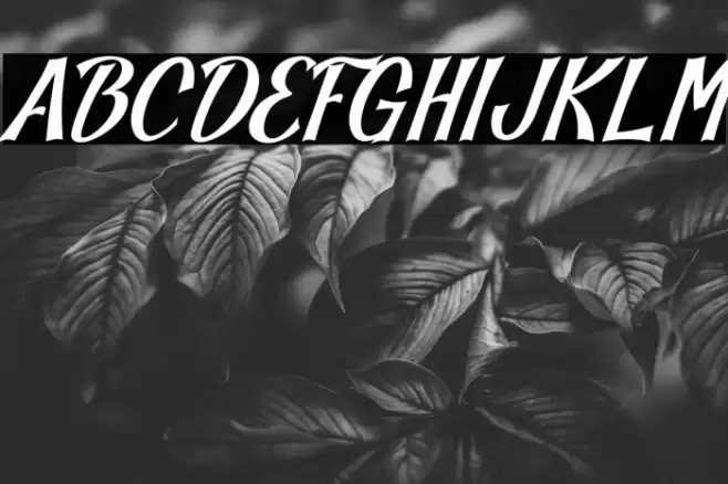 Blankeny-Script Font examples