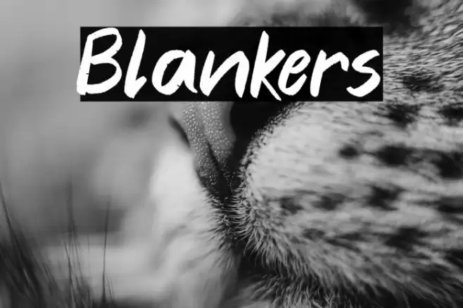 Blankers Font examples