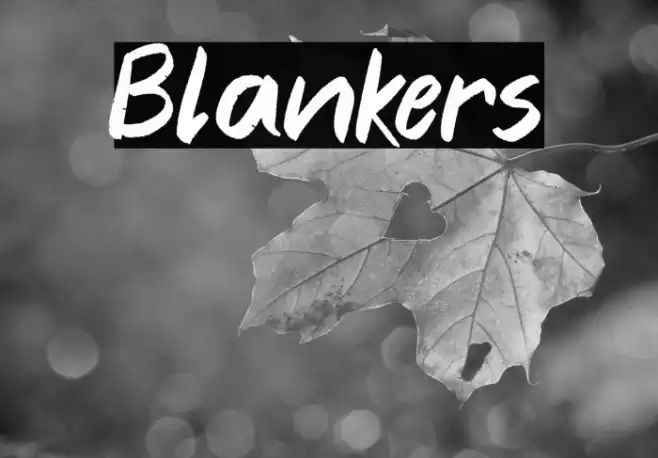 Blankers Font examples