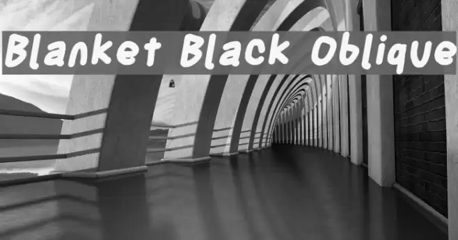Blanket Black Oblique Font examples