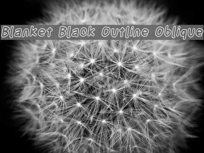 Blanket Black Outline Oblique Font examples