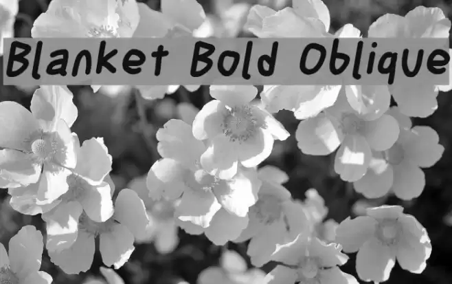 Blanket Bold Oblique Font examples