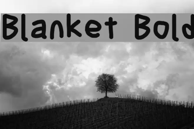 Blanket Bold Font examples