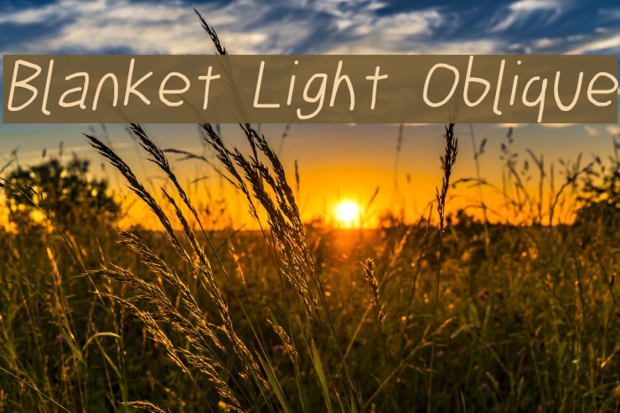 Blanket Light Oblique Font examples