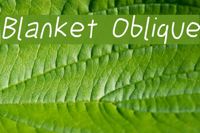 Blanket Oblique Font examples