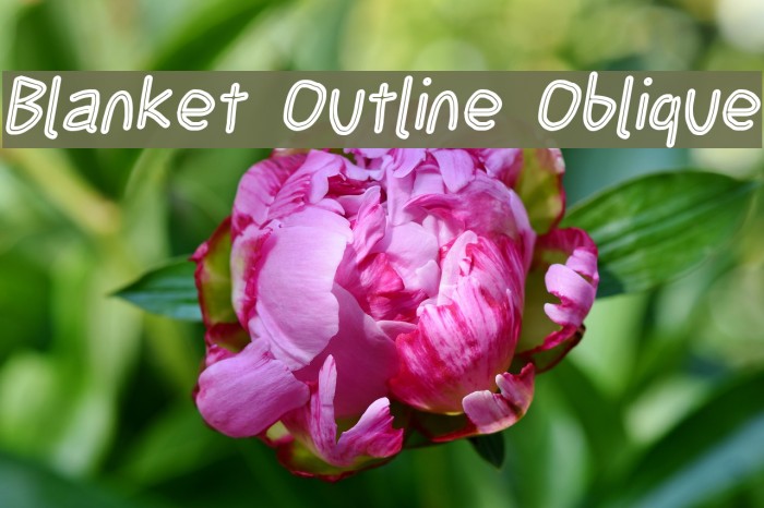 Blanket Outline Oblique フォント examples