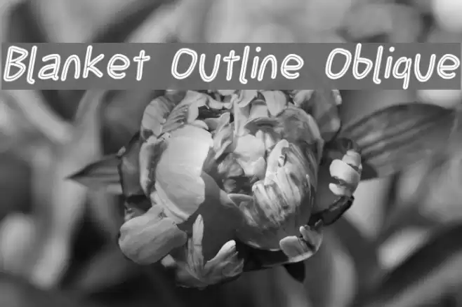 Blanket Outline Oblique  examples