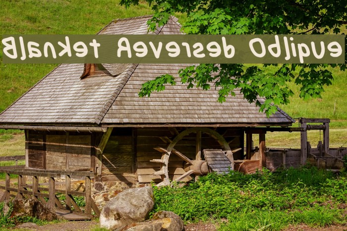 Blanket Reversed Oblique Font examples
