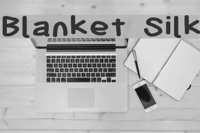 Blanket Silk Font examples