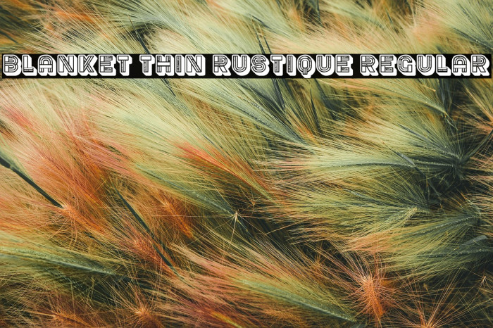 Blanket Thin Rustique Regular Example 2