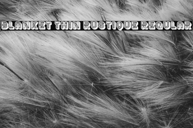 Blanket Thin Rustique Regular Font examples