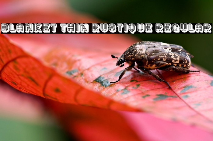 Blanket Thin Rustique Regular Example 3