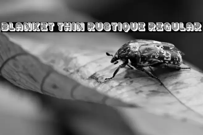 Blanket Thin Rustique Regular Font examples