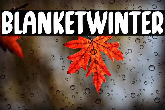 Blanket Winter Example 2