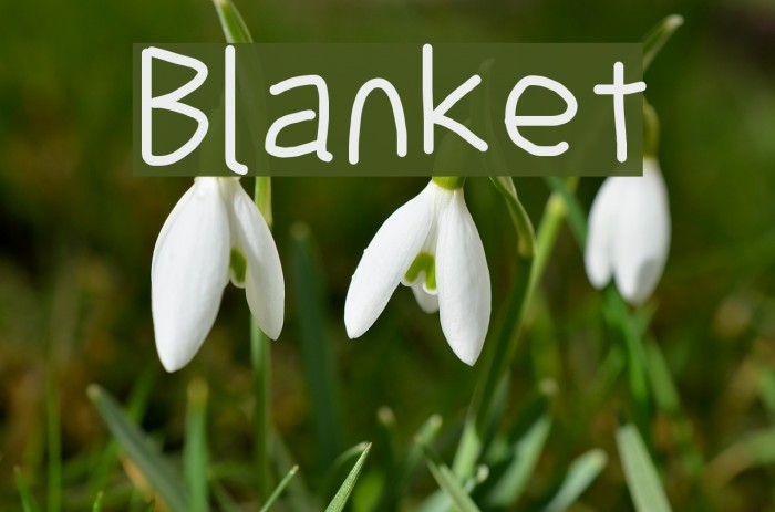 Blanket Font examples
