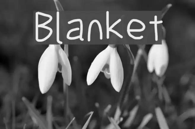 Blanket  examples
