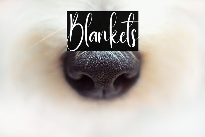 Blankets Example 3