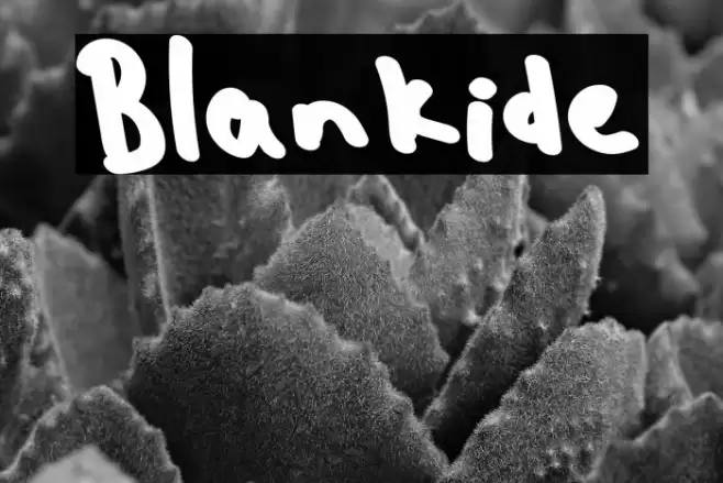 Blankide Font examples
