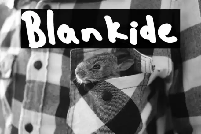Blankide Font examples