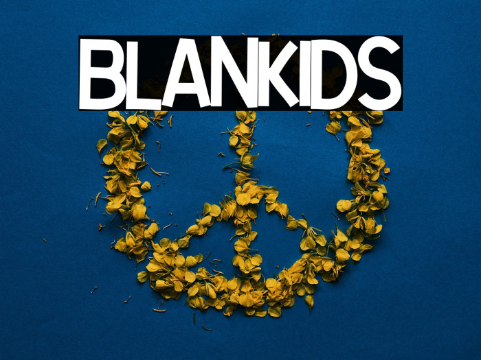 Blankids Example 1