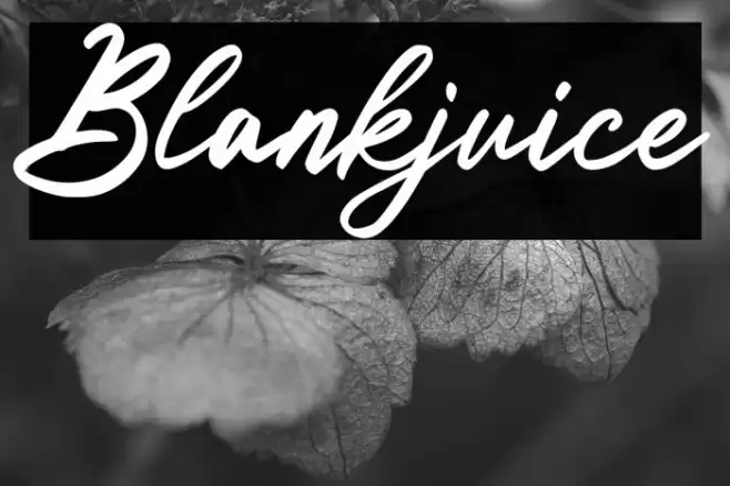 Blankjuice Шрифта examples