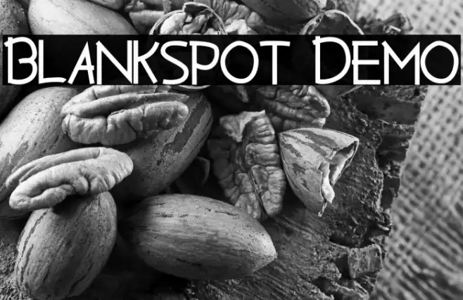 Blankspot Demo Font examples