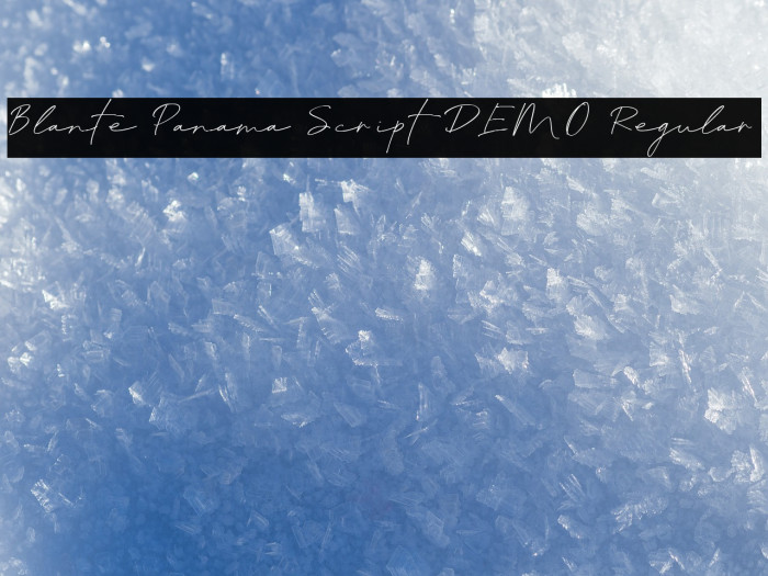 Blante Panama Script DEMO Regular フォント examples