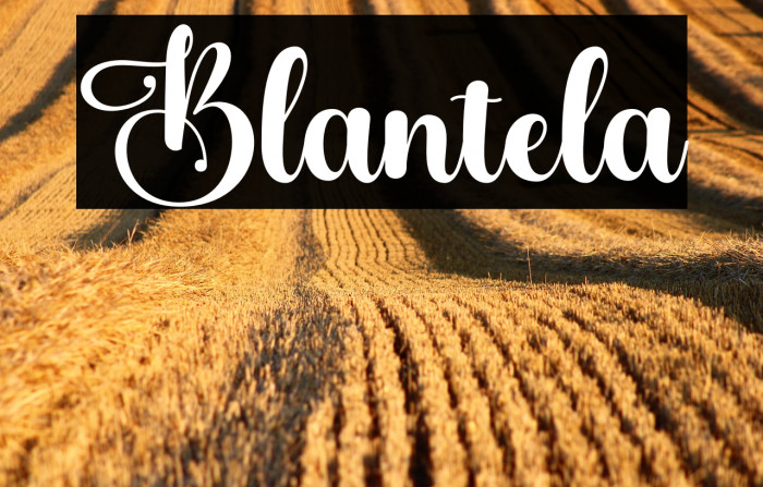 Blantela Example 2