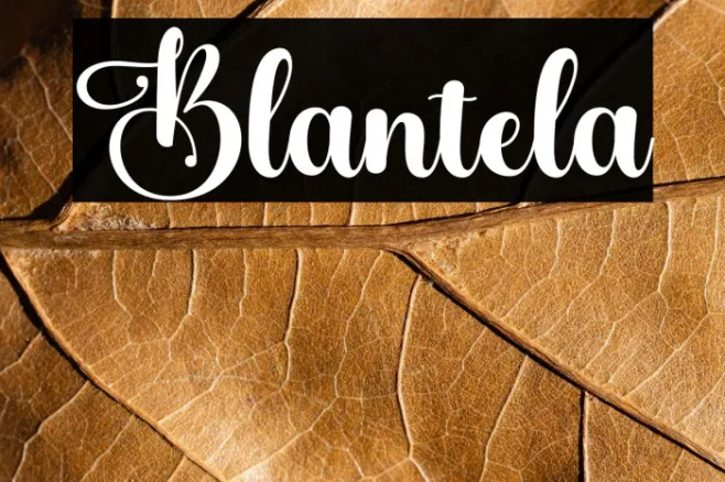 Blantela Example 3