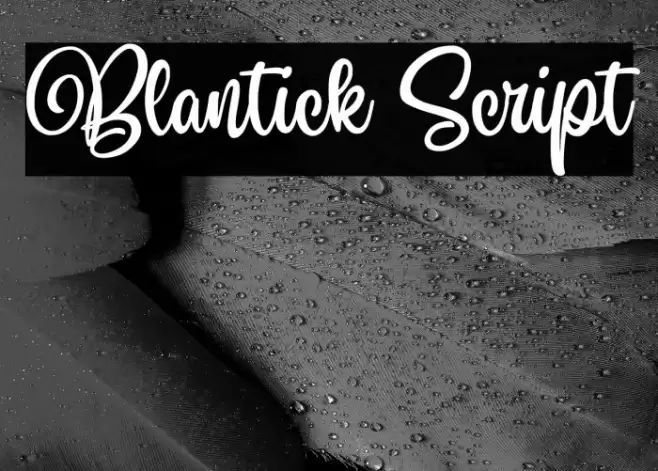 Blantick Script Font examples