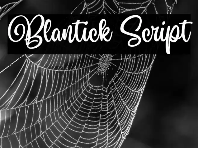 Blantick Script Font examples