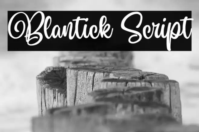 Blantick Script Font examples