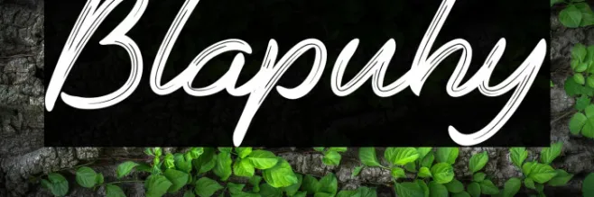 Blapuhy Example 3