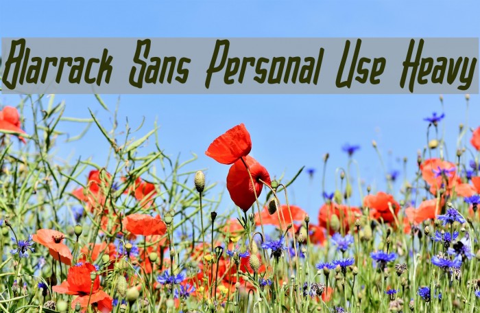 Blarrack Sans Personal Use Heavy फ़ॉन्ट examples