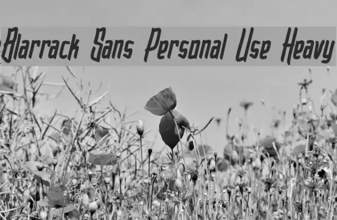 Blarrack Sans Personal Use Heavy Font examples