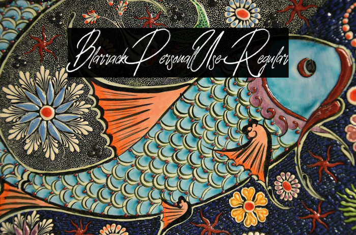 BlarrackPersonalUse-Regular Example 3