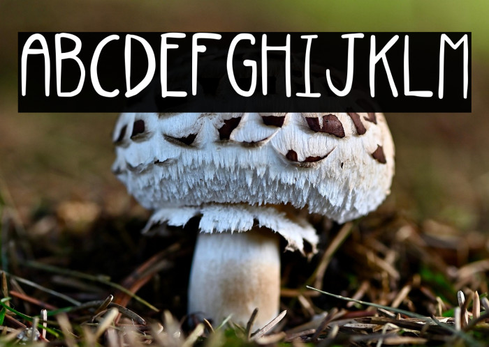 Blast Regular Example 1