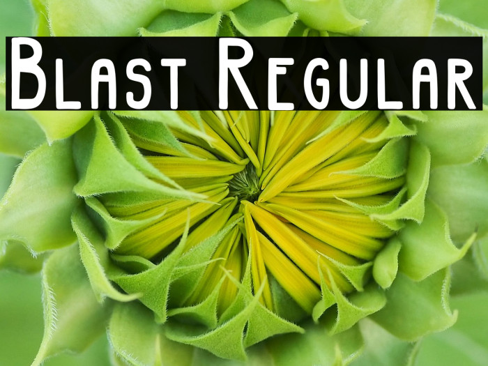 Blast Regular Example 2