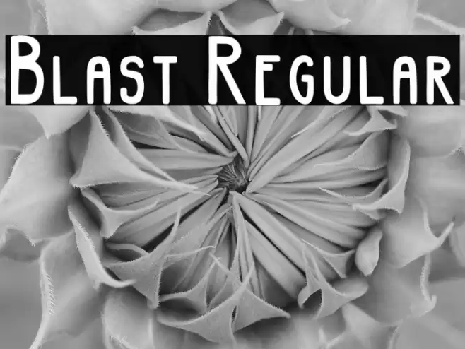 Blast Regular Font examples
